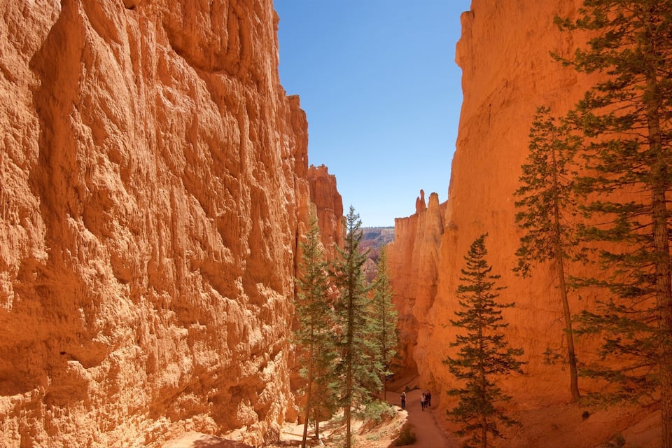 A canyon with tall red rock walls and a narrow trail with people hiking.