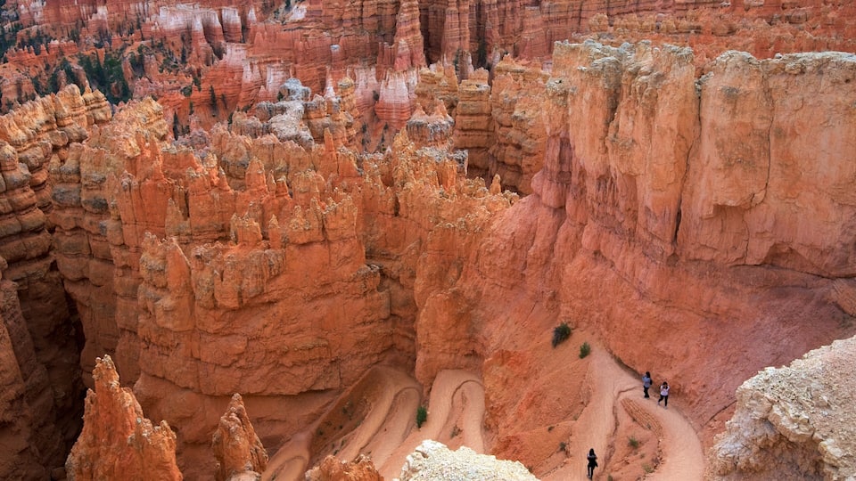 A canyon with red rock formations and a winding trail.