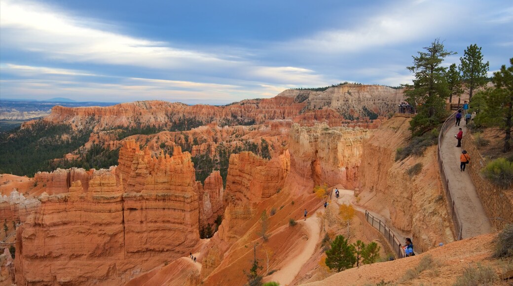 Navajo Trail showing landscape views and a gorge or canyon