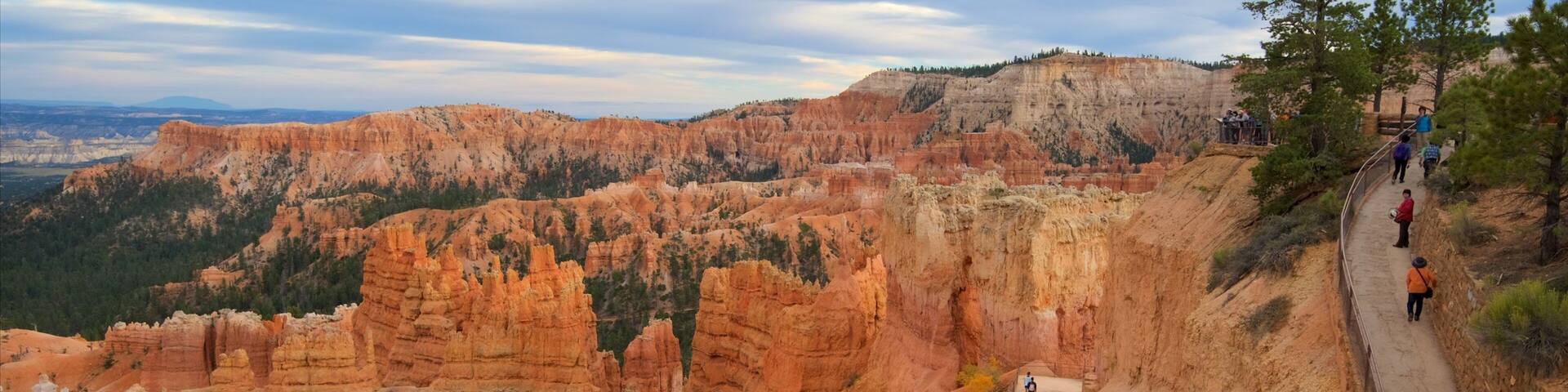 Navajo Trail som visar en ravin eller kanjon och landskap