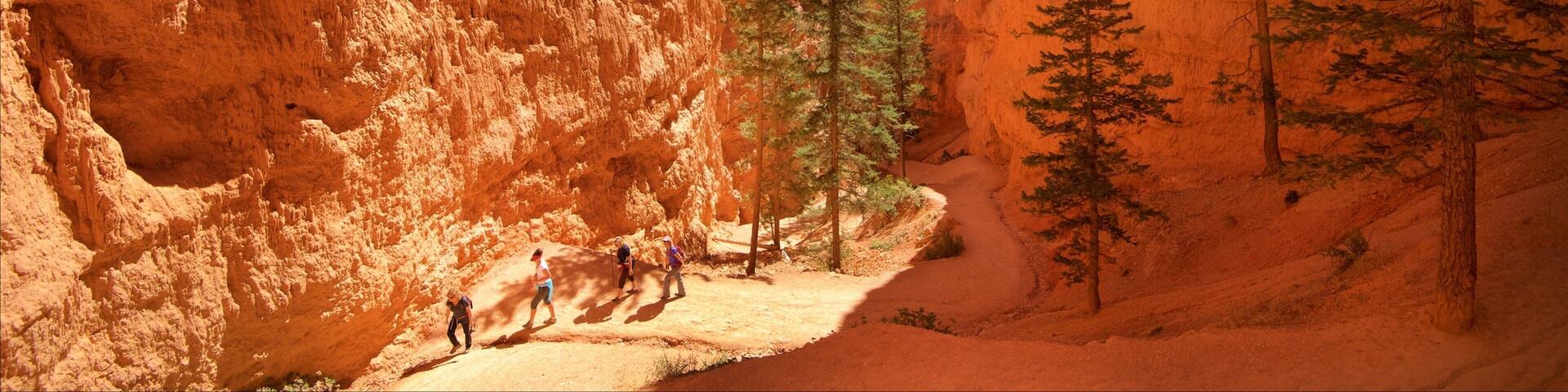 Bryce Canyon National Park showing a gorge or canyon, desert views and tranquil scenes