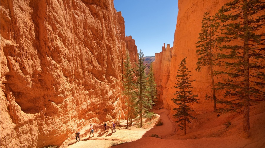 Bryce Canyon National Park featuring tranquil scenes, a gorge or canyon and desert views