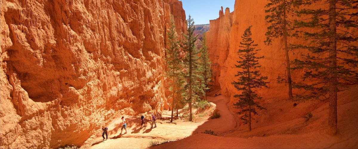 A canyon with red rock walls and a narrow path with hikers.