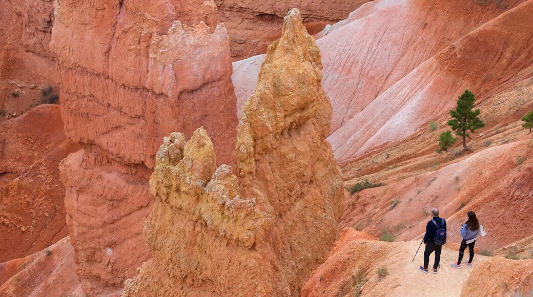 Navajo Trail featuring a gorge or canyon as well as a couple