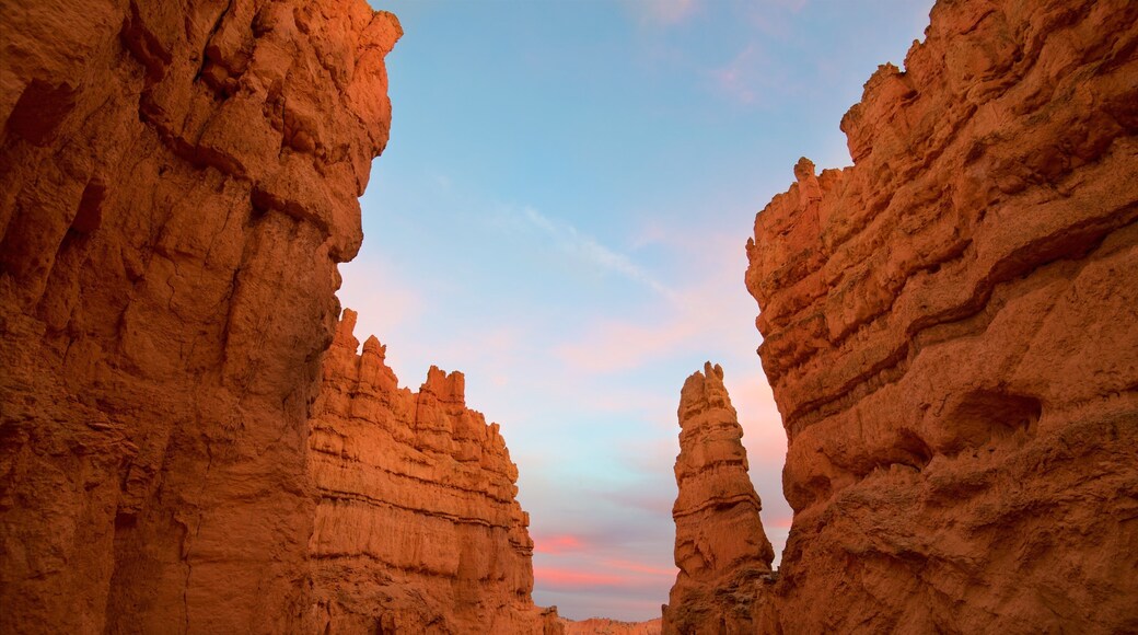 Bryce Canyon National Park which includes a sunset, a gorge or canyon and tranquil scenes