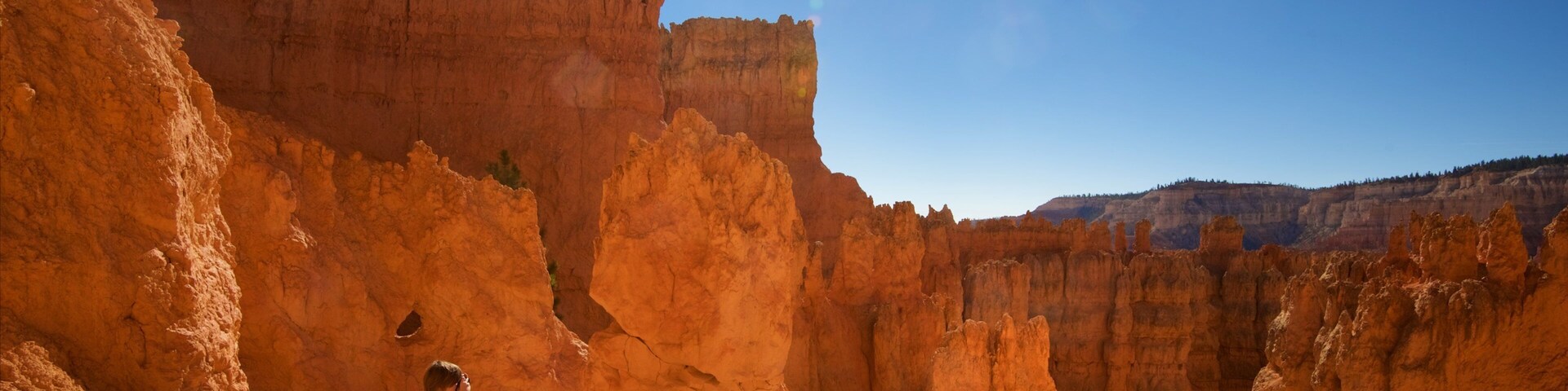Bryce Canyon National Park which includes a gorge or canyon, desert views and tranquil scenes