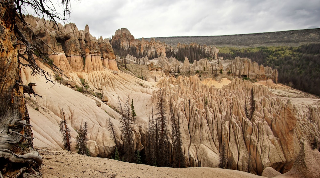 Área geológica de Wheeler