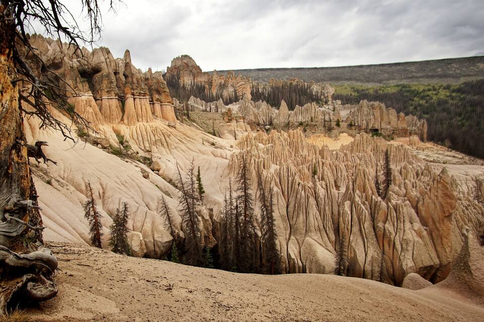 Un paisaje agreste con formaciones rocosas singulares y vegetación escasa.