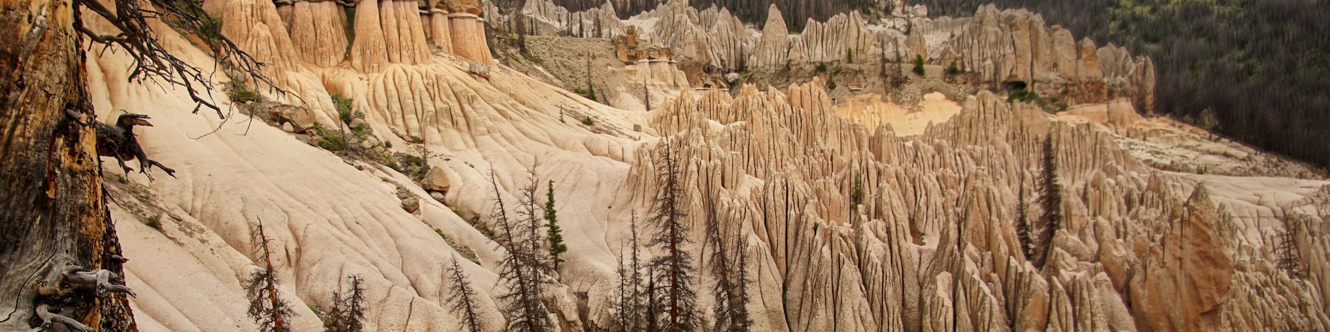 Heavily eroded formations of volcanic ash at Wheeler Geological Area near Creede Colorado
