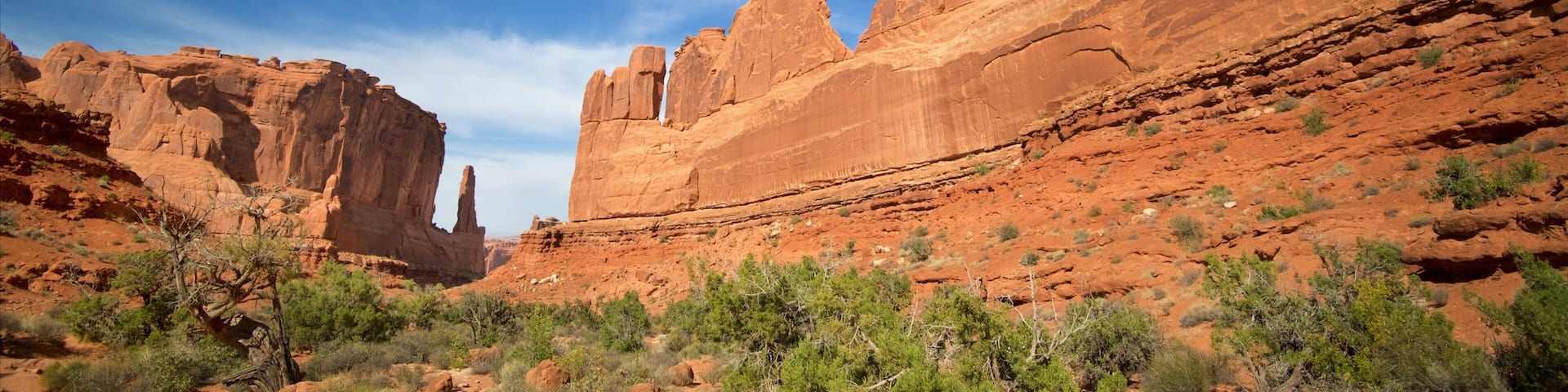 Arches National Park showing desert views