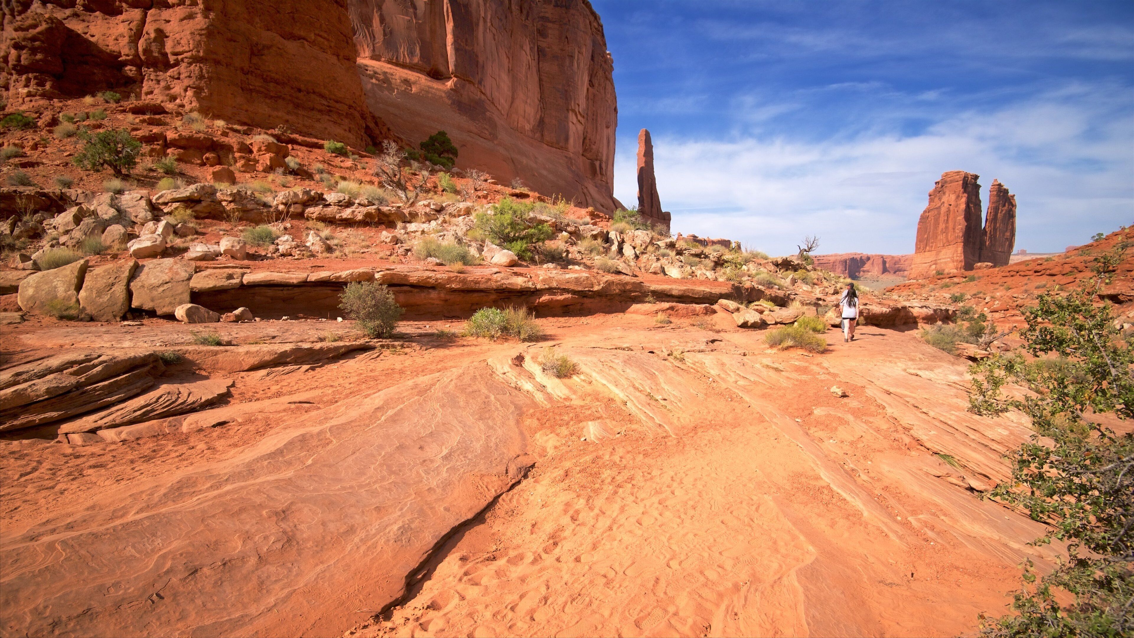 A desert landscape with red rock formations, a clear sky, and a person walking on a dirt path.