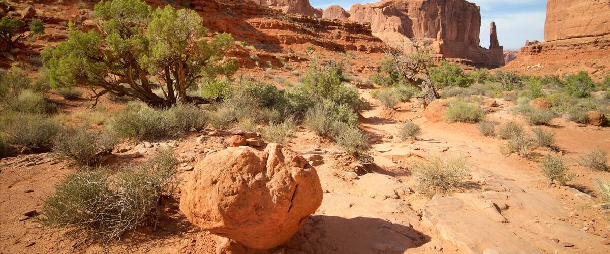 Park Avenue Trail showing desert views, a gorge or canyon and landscape views