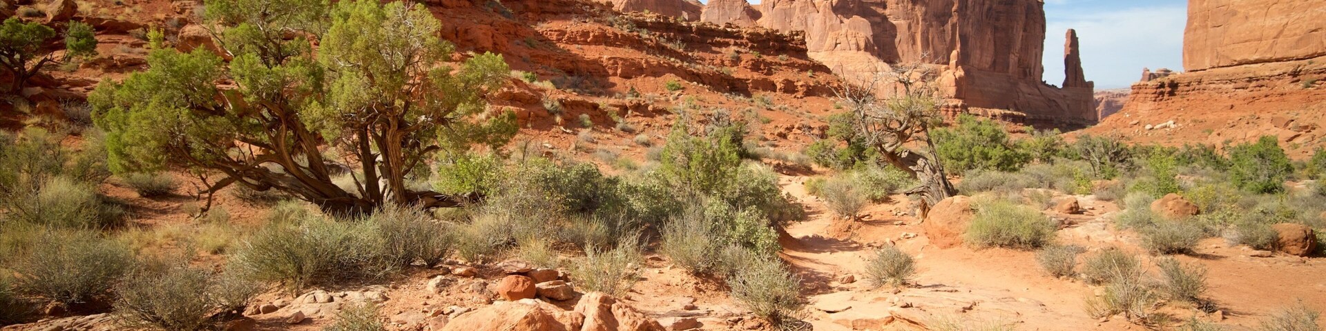 Park Avenue Trail mostrando vistas al desierto, un barranco o cañón y vistas de paisajes