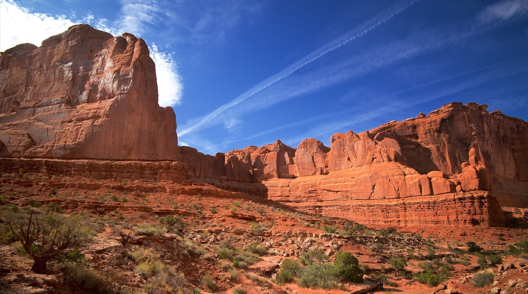 Arches National Park showing tranquil scenes, desert views and a gorge or canyon