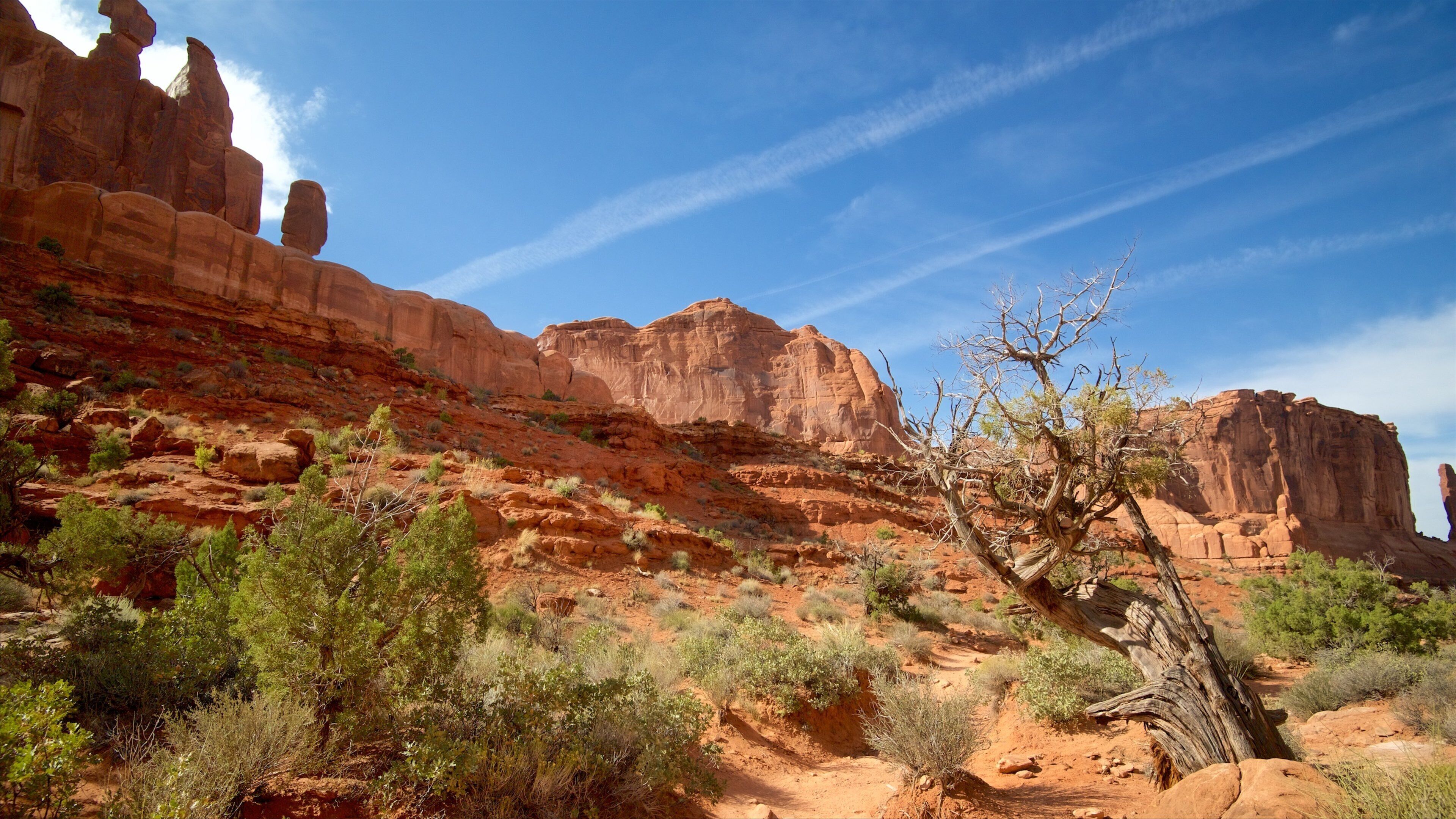 A desert landscape with red rock formations, sparse vegetation, and a clear blue sky.