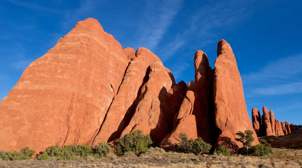 Sand Dune Arch featuring a gorge or canyon