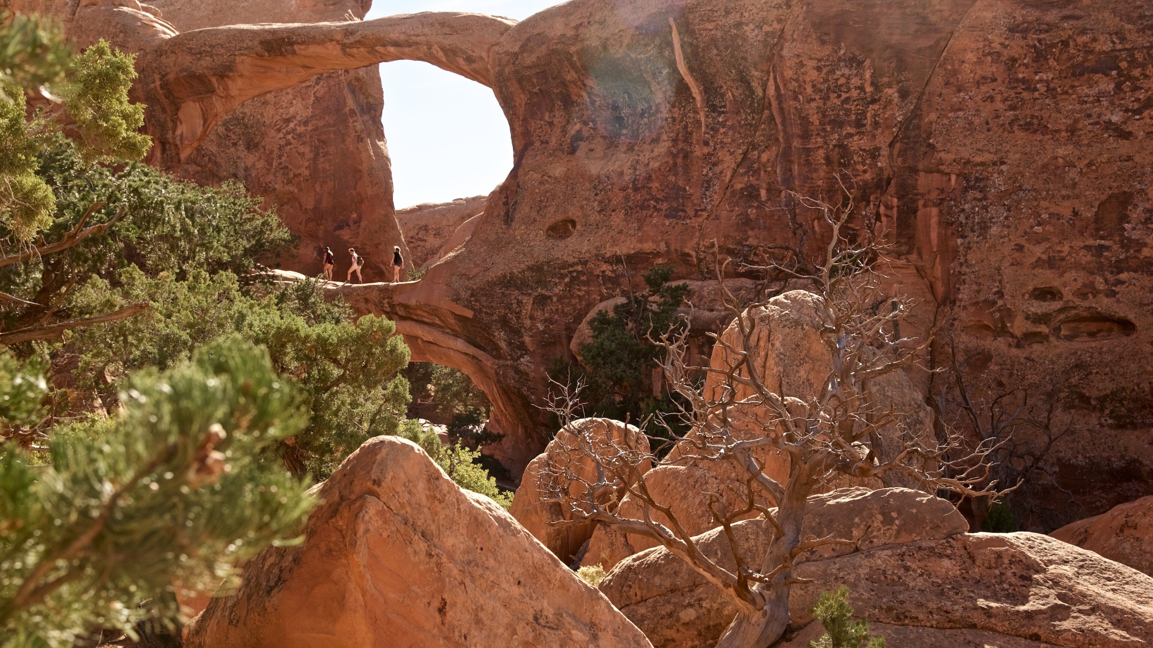 Double O Arch showing a gorge or canyon