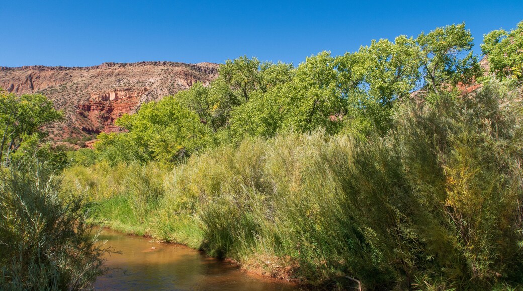Jemez National Recreation Area