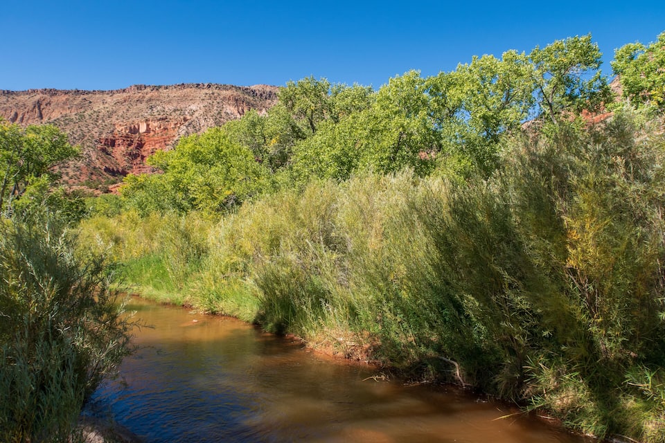 A river flowing through a canyon with green vegetation and red rock formations.