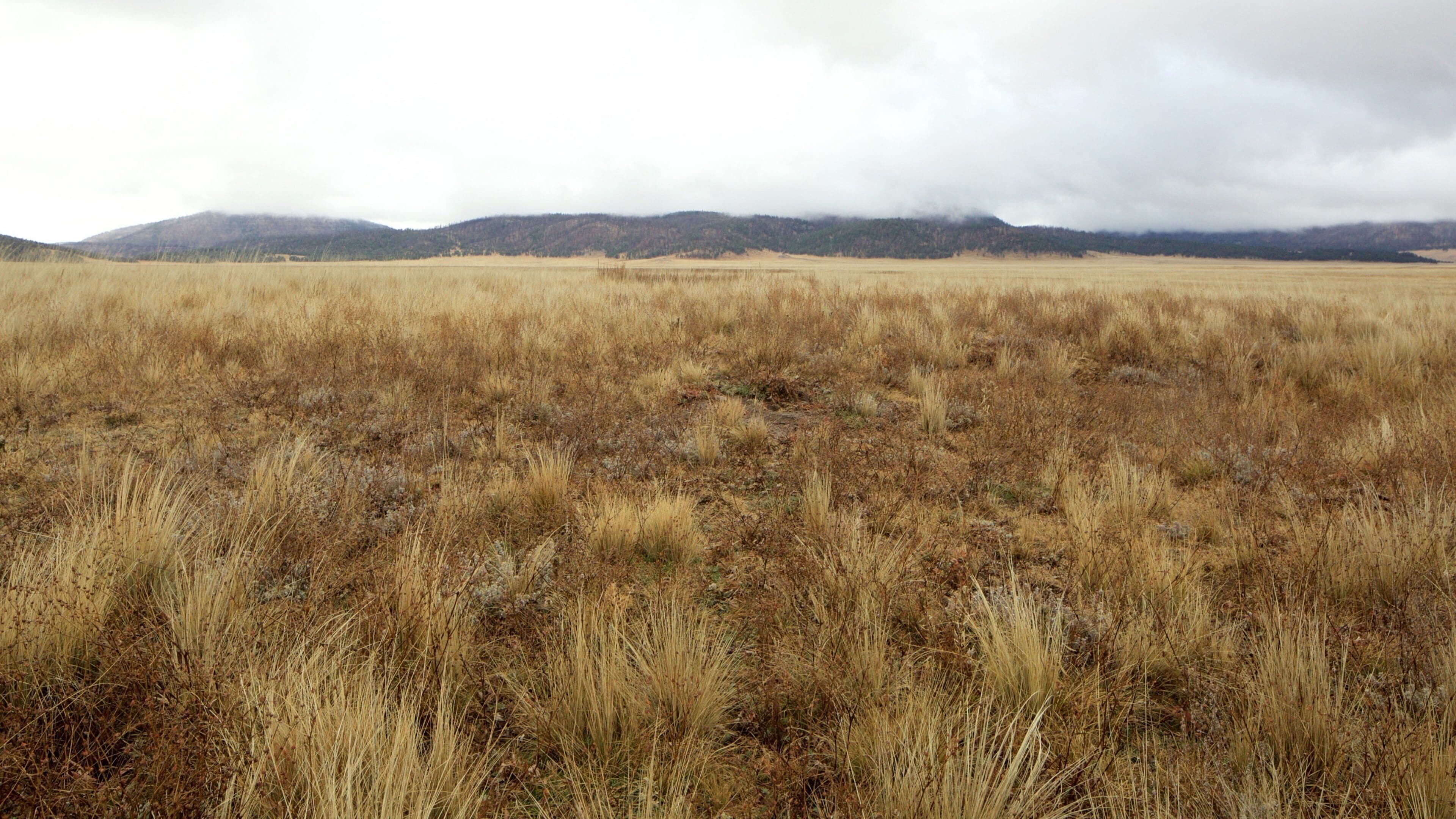 Valles Caldera National Preserve showing mist or fog and farmland