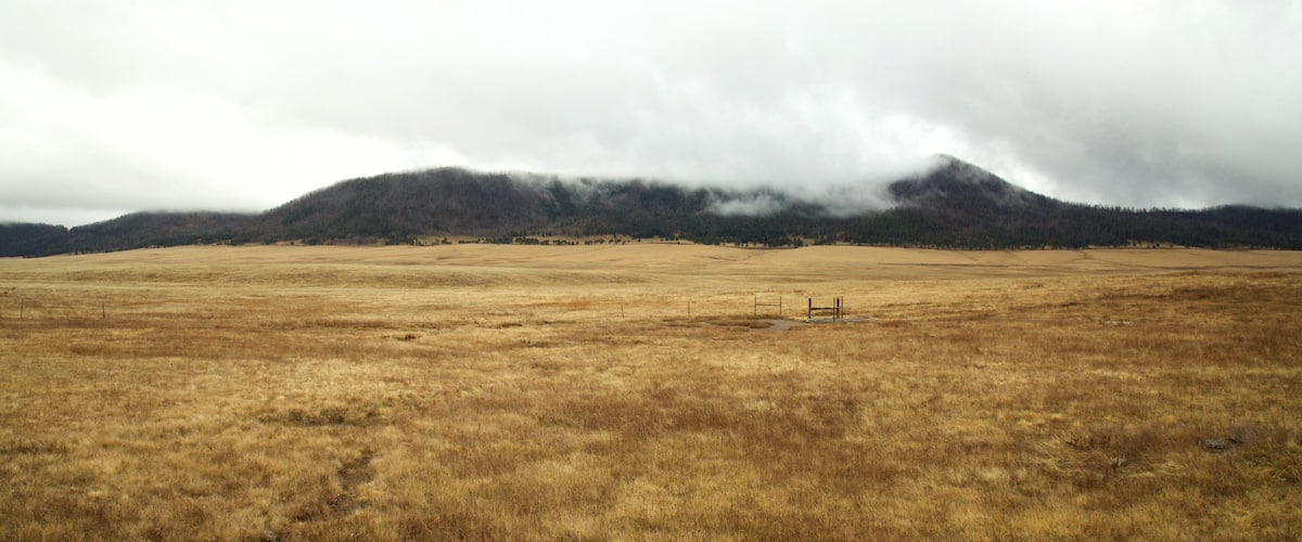 Valles Caldera National Preserve welches beinhaltet ruhige Szenerie, Landschaften und Nebel