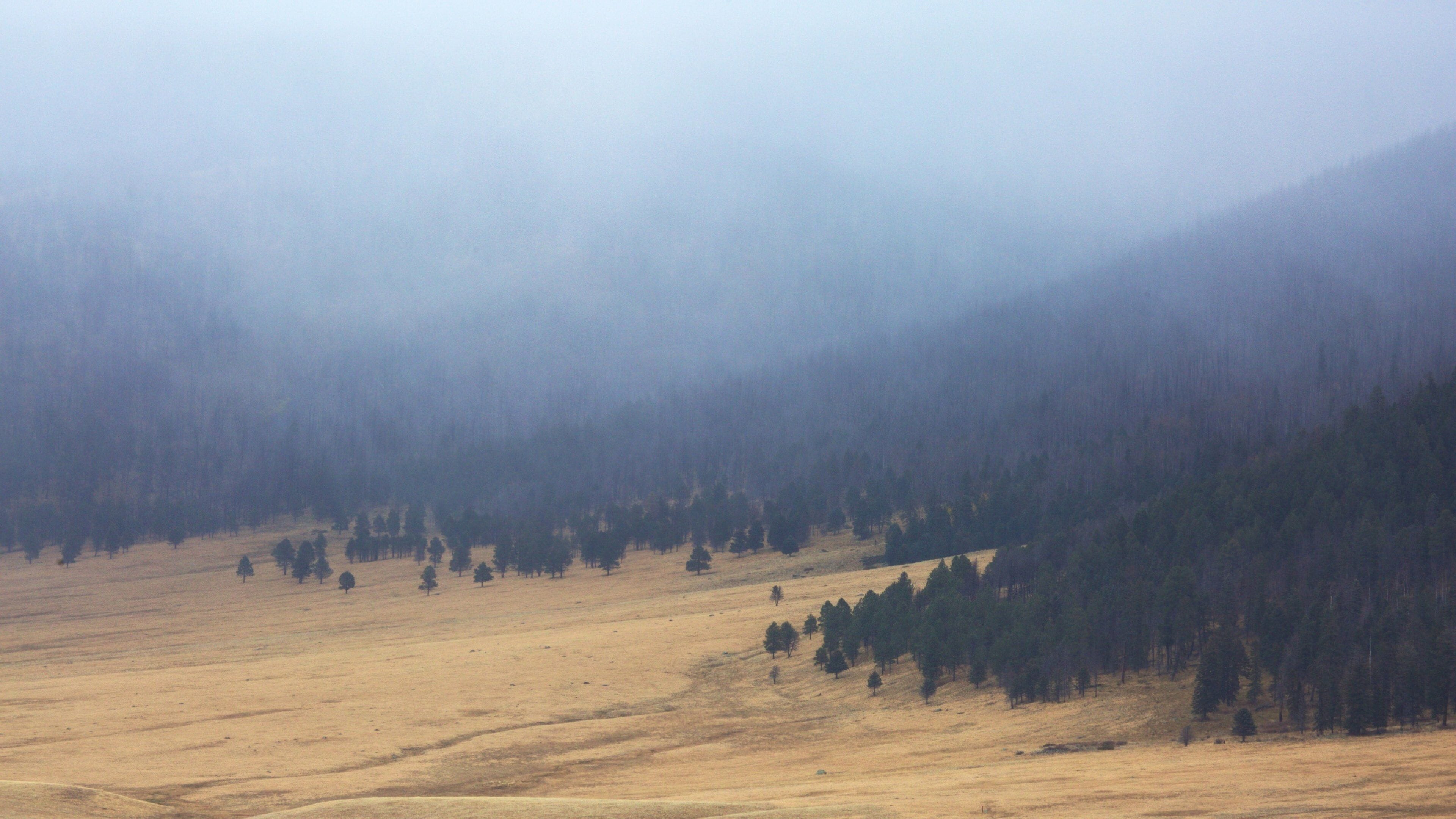 Jemez Springs which includes mist or fog, farmland and mountains