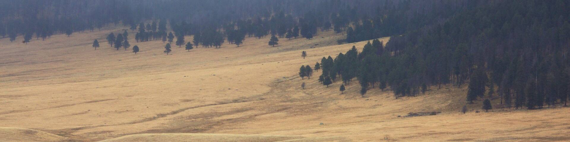 Jemez Springs which includes mist or fog, farmland and mountains