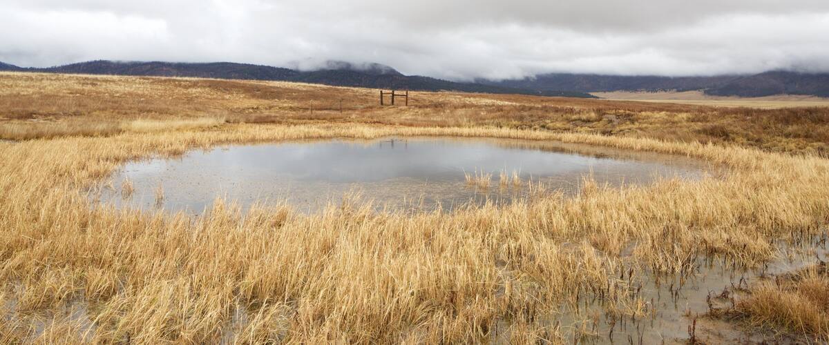Jemez Springs das einen Nebel, ruhige Szenerie und Teich