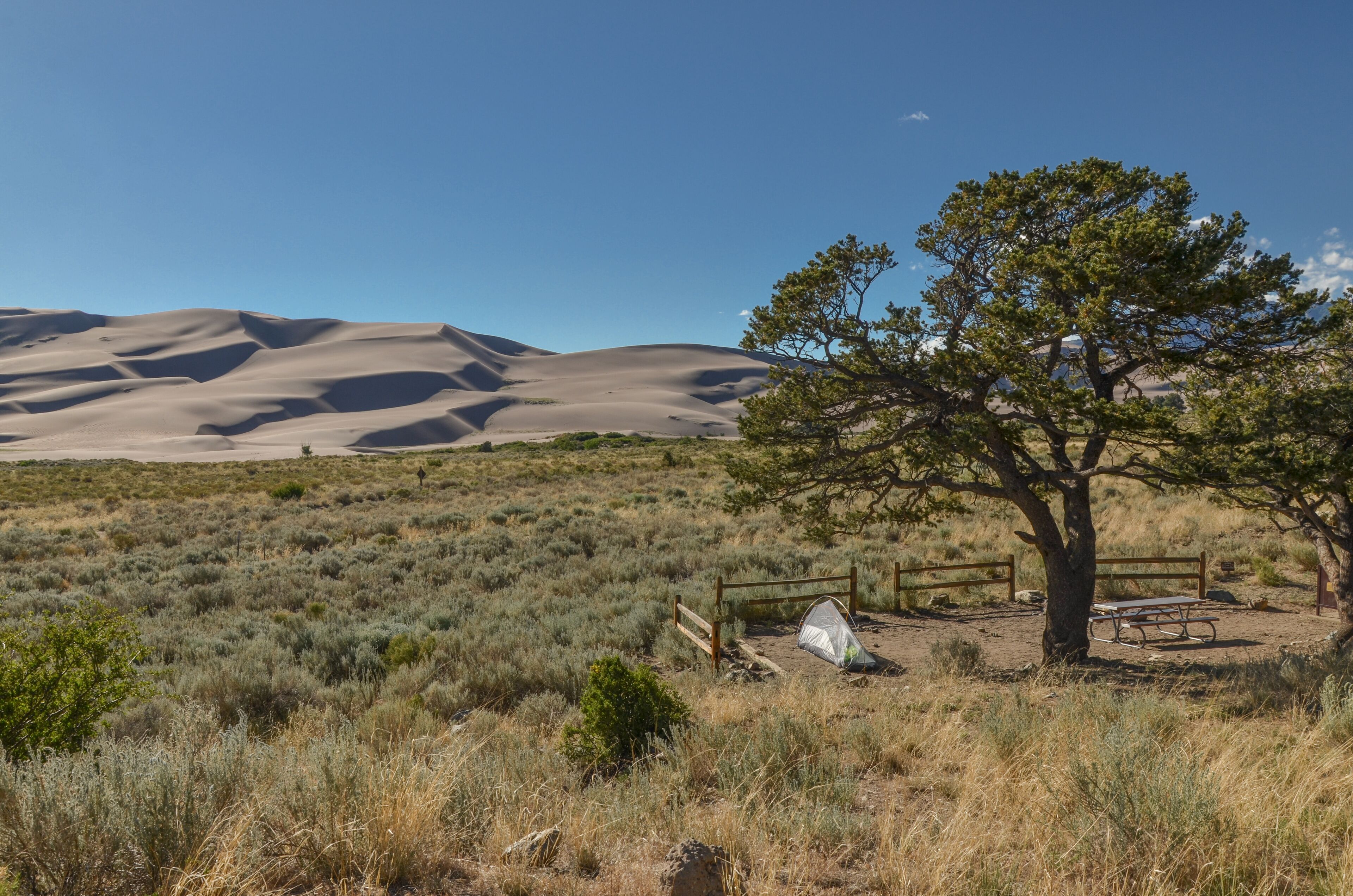 tent under the tree in Pinon Flats Campground against sand dunes (Great Sand Dunes National Park and Preserve, Saguache county, Colorado)