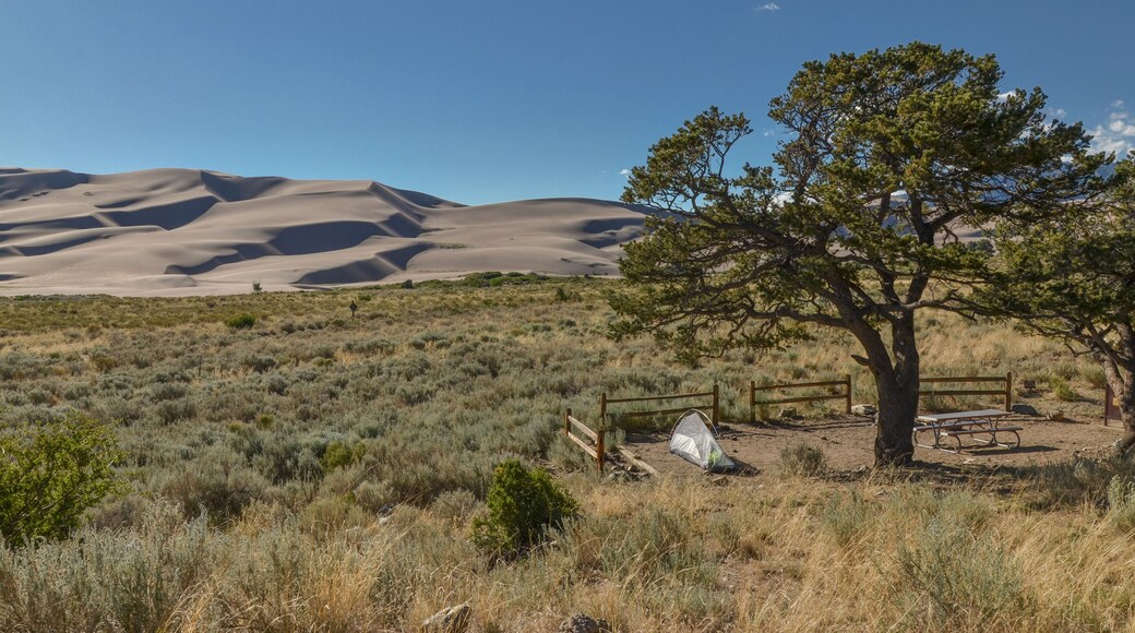 Pinyon Flats Campground