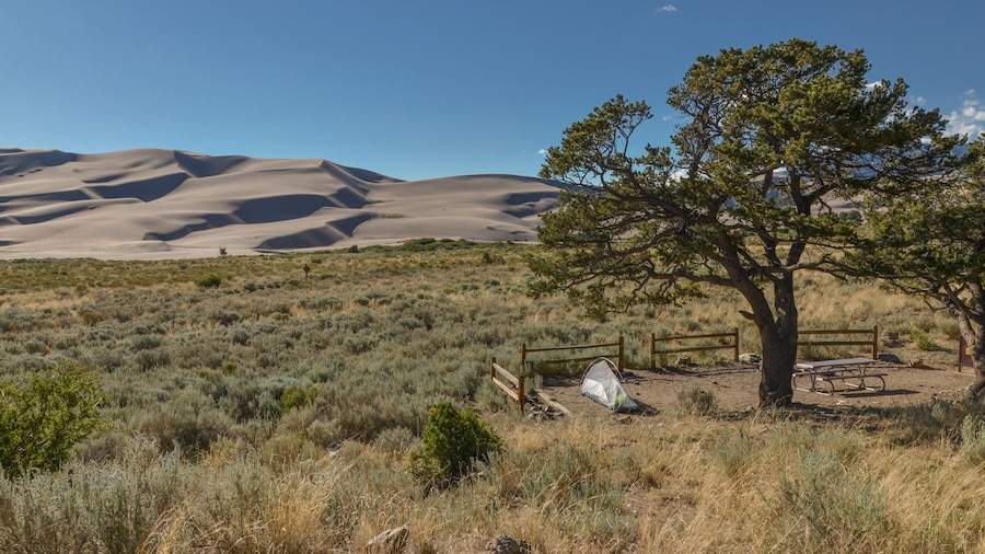 ピニョン・フラッツ・キャンプ場