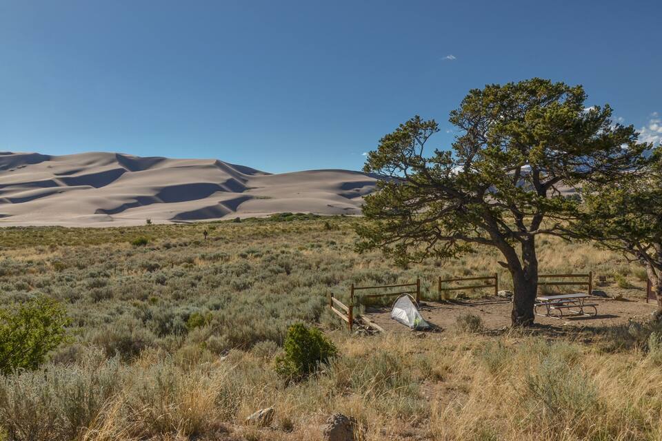Paisaje desértico con dunas de arena, vegetación escasa, un árbol y un área de picnic.