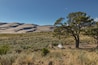 Pinyon Flats Campground