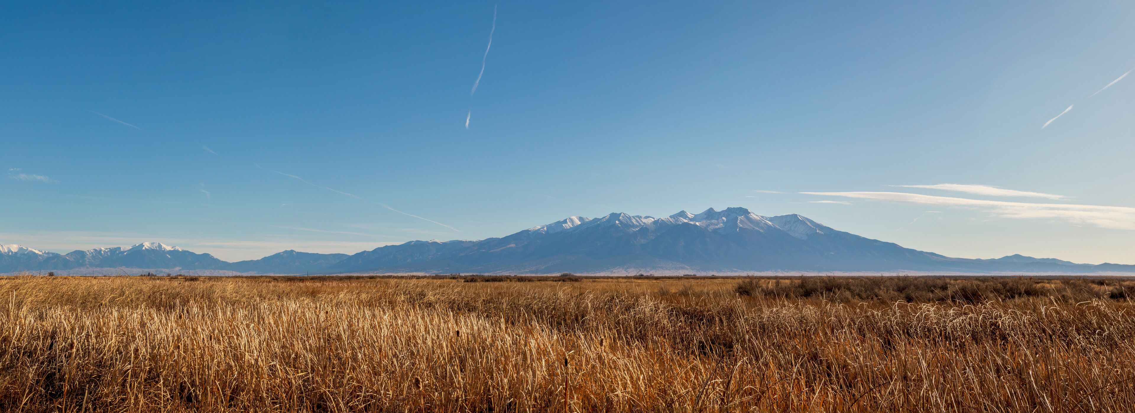 Early Spring in Alamosa National Wildlife Refuge, Southern Colorado
