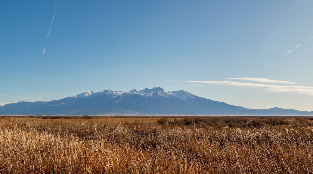 Monte Vista and Alamosa National Wildlife Refuges