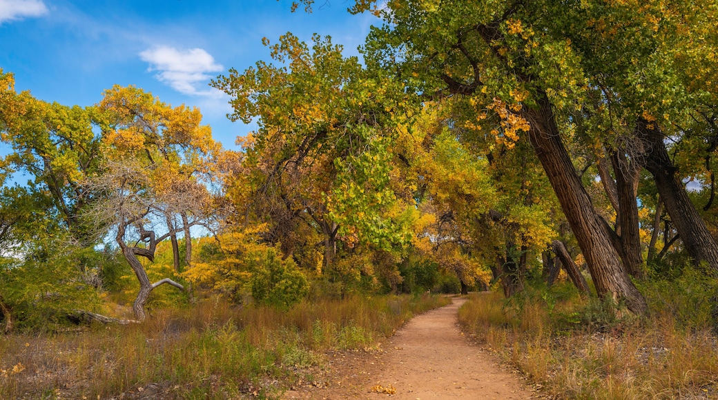 Red River Nature Trail