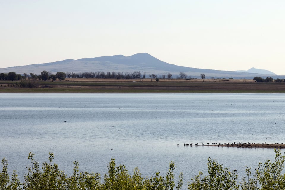 Un lago tranquilo con una montaña al fondo y algunos árboles en primer plano.