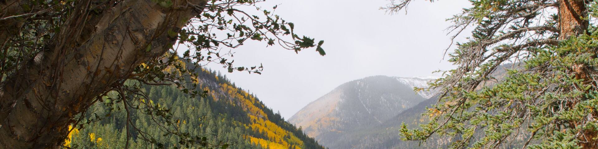 Dry Docked in Autumn