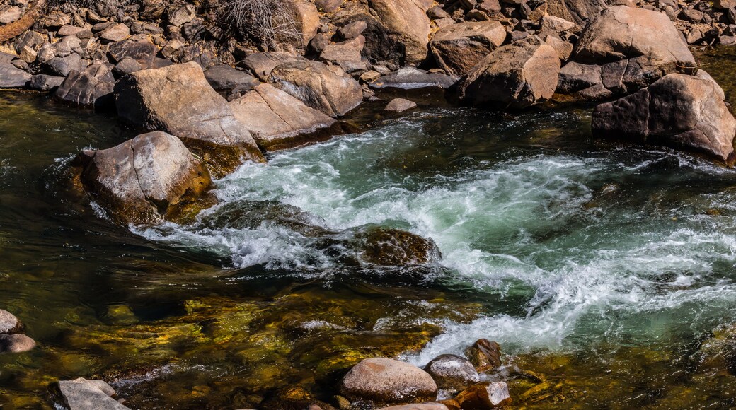 Parque del río Buena Vista