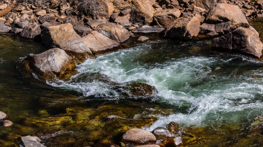 Taman Sungai Buena Vista