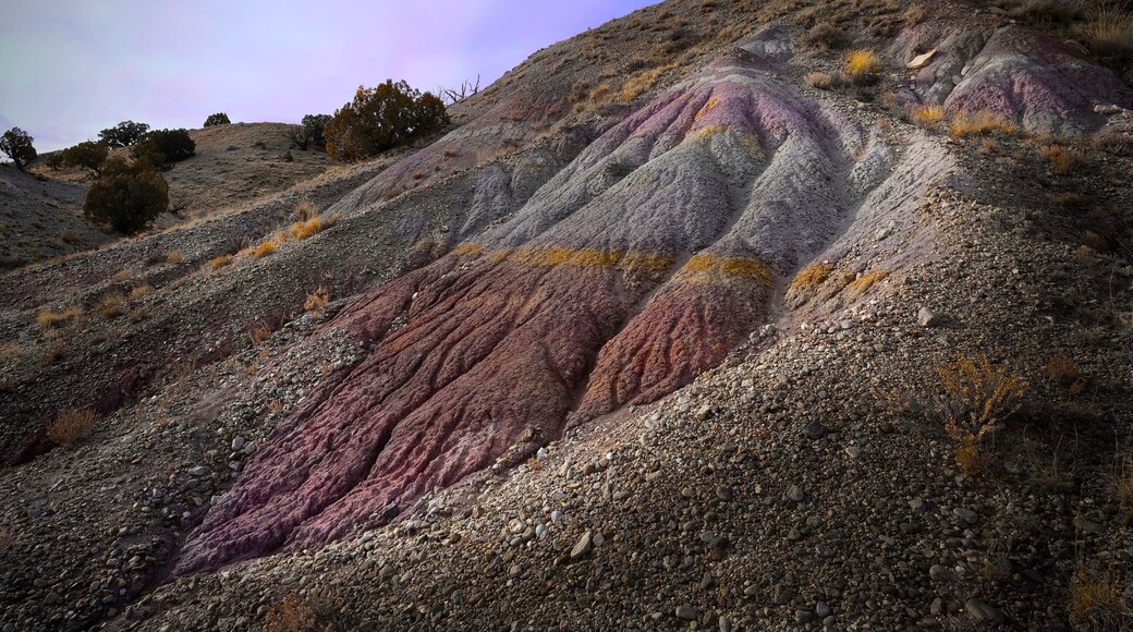 Cleveland - Lloyd Dinosaur Quarry