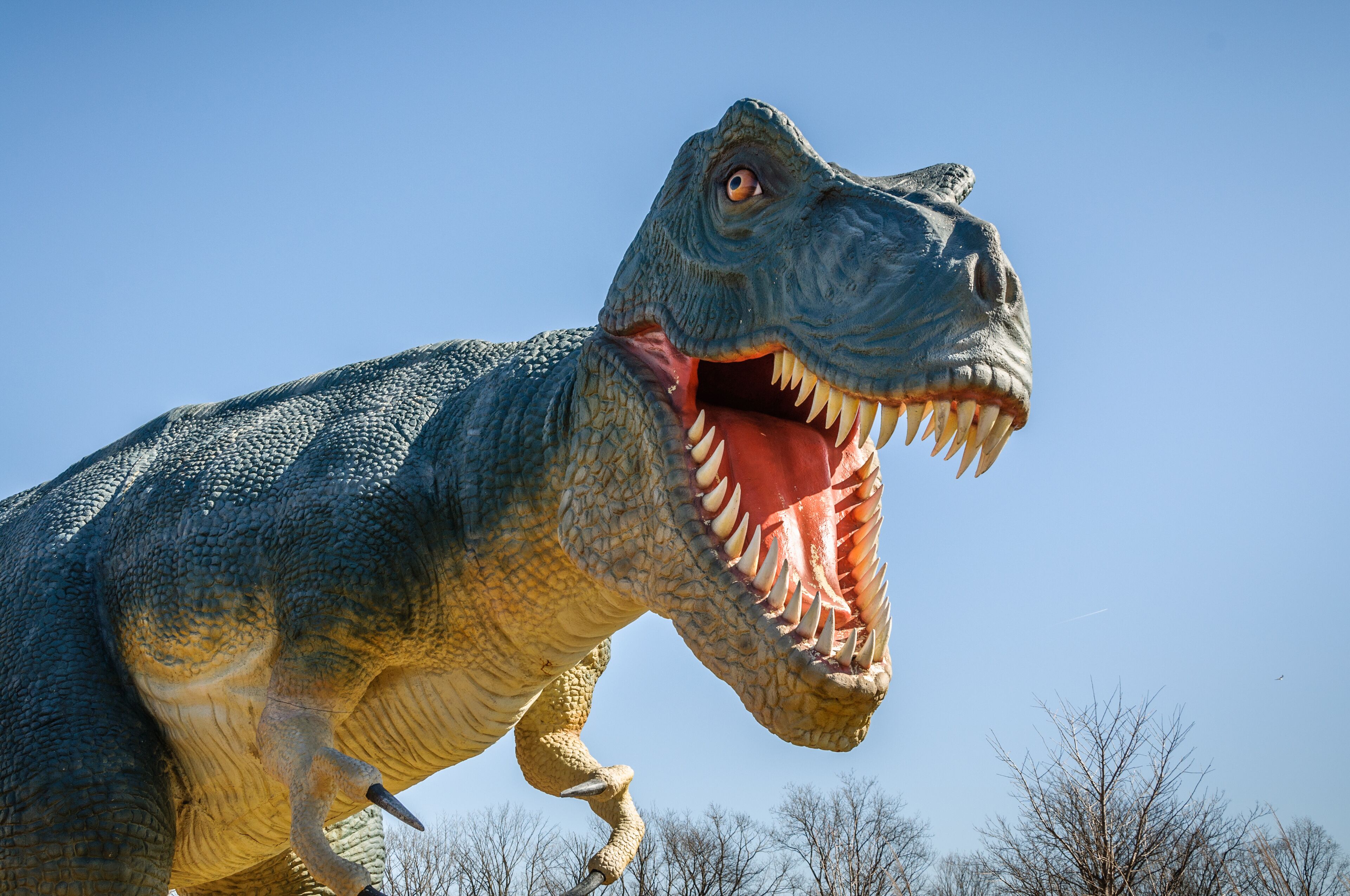Aggressive T-Rex