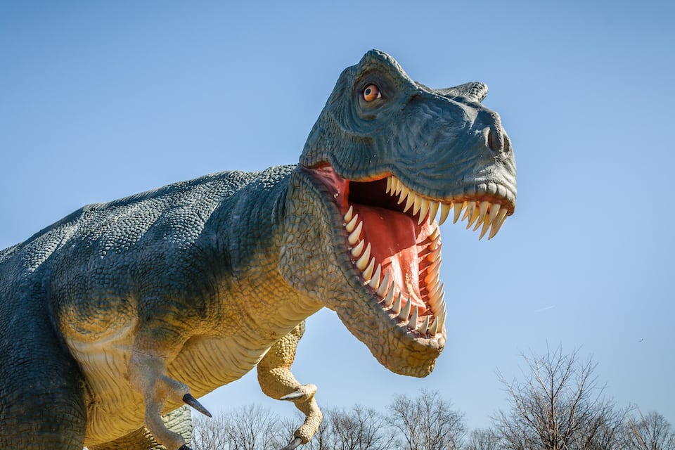 Eine große Dinosaurierstatue mit weit geöffnetem Maul und scharfen Zähnen.