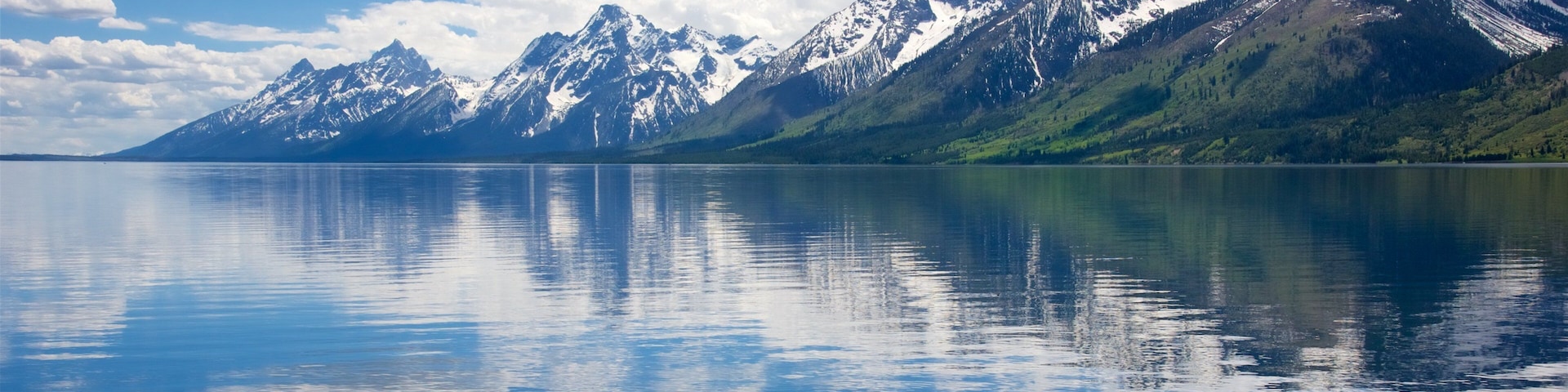 Jackson Lake que inclui montanhas e um lago ou charco