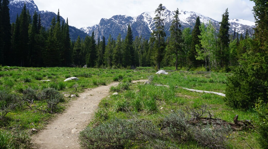 Trail at the Laurance S. Rockefeller Preserve in Grand Teton National Park - Wyoming, USA