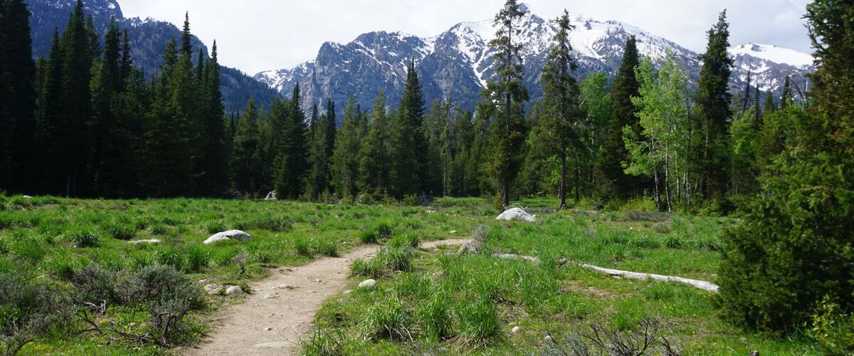 Trail at the Laurance S. Rockefeller Preserve in Grand Teton National Park - Wyoming, USA