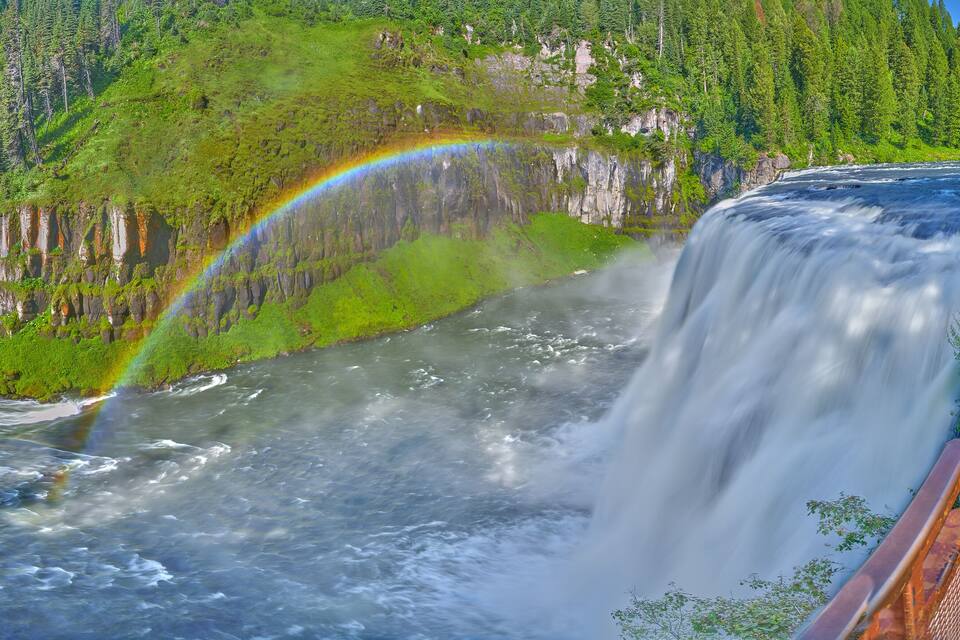 A waterfall with a rainbow, surrounded by lush green forest.