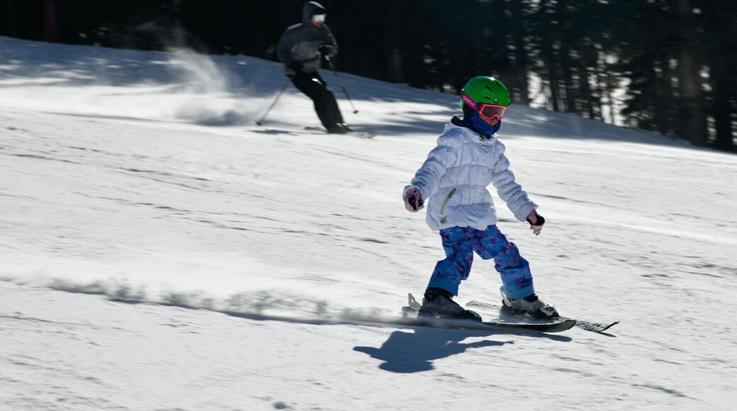 Kid snowboarding on snowy hill. Extreme winter sports. Action shot. Vail ski resort, Colorado