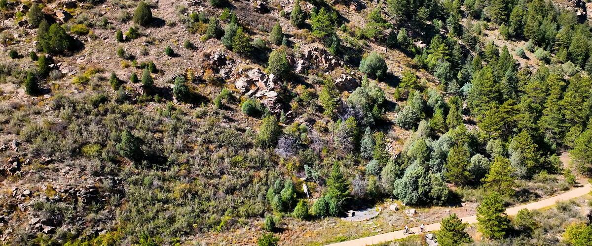 Un paysage montagneux caractérisé par de vastes forêts, un terrain rocheux et un sentier de terre.