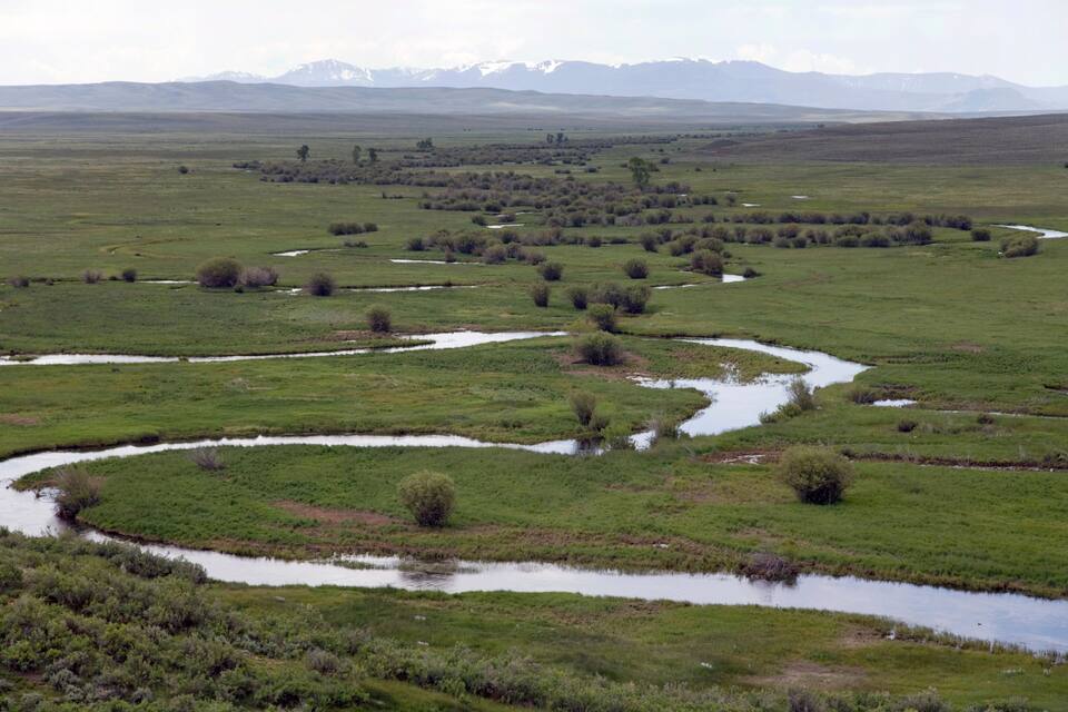 A river winding through a grassy landscape with scattered bushes and distant snow-capped mountains.